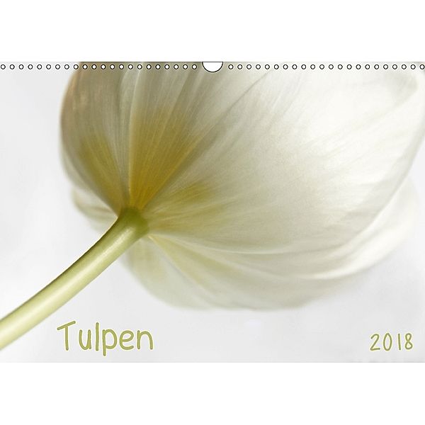 Tulpen (Wandkalender 2018 DIN A3 quer), Claudia Möckel / Lucy L!u