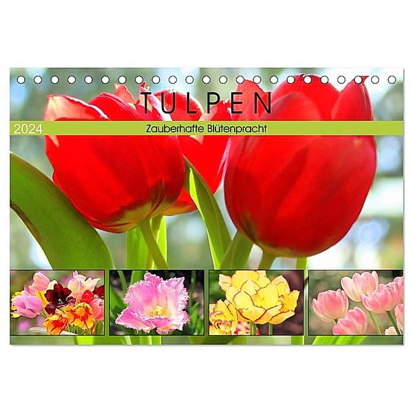 Tulpen. Zauberhafte Blütenpracht (Tischkalender 2024 DIN A5 quer), CALVENDO Monatskalender, Rose Hurley