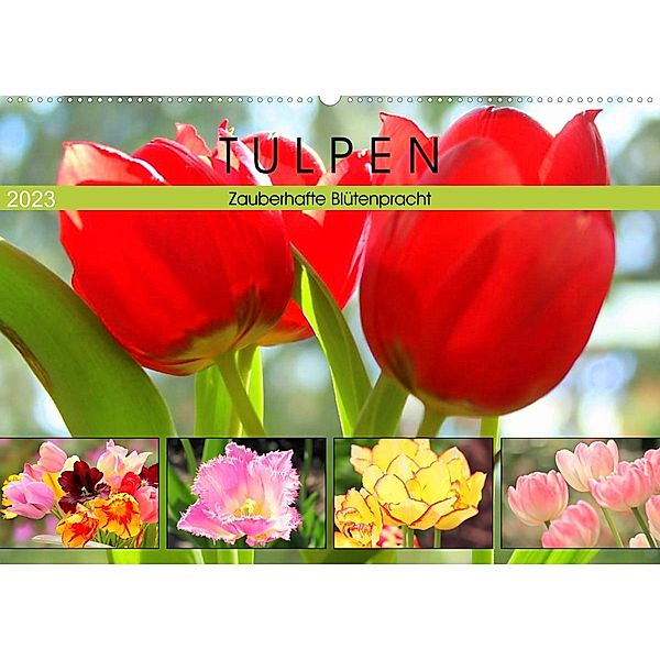 Tulpen. Zauberhafte Blütenpracht (Wandkalender 2023 DIN A2 quer), Rose Hurley