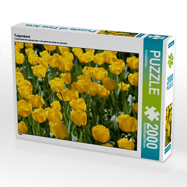 Tulpenbeet (Puzzle), SchnelleWelten
