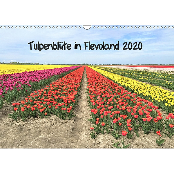 Tulpenblüte in Flevoland 2020 (Wandkalender 2020 DIN A3 quer), Christine Konkel