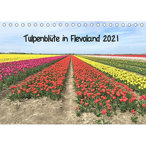 Tulpenblüte in Flevoland 2021 (Tischkalender 2021 DIN A5 quer), Christine Konkel