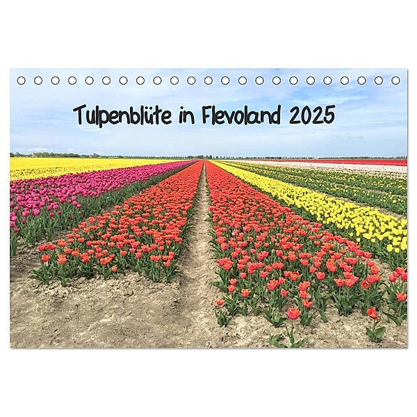 Tulpenblüte in Flevoland 2025 (Tischkalender 2025 DIN A5 quer), CALVENDO Monatskalender, Calvendo, Christine Konkel