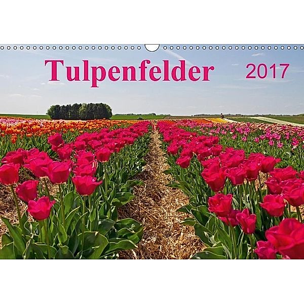 Tulpenfelder 2017 (Wandkalender 2017 DIN A3 quer), Liane Nagel