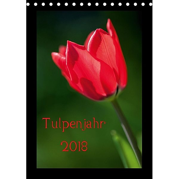 Tulpenjahr (Tischkalender 2018 DIN A5 hoch), Reinhard Müller