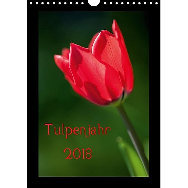 Tulpenjahr (Wandkalender 2018 DIN A4 hoch), Reinhard Müller