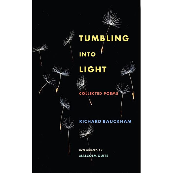 Tumbling Into Light, Richard Bauckham