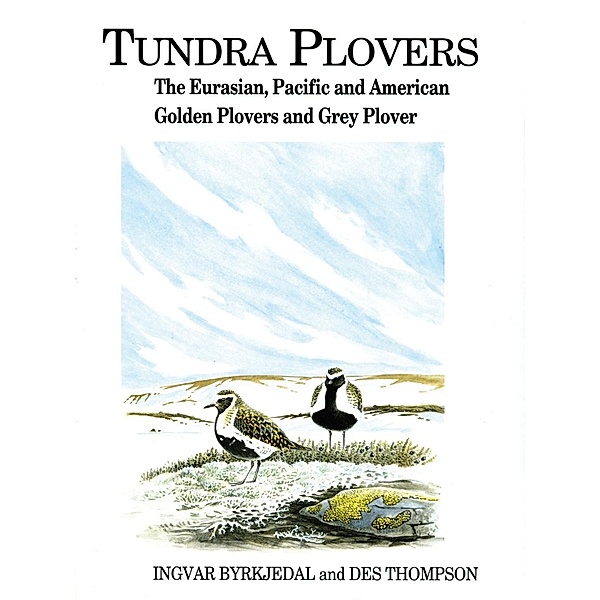 Tundra Plovers, Des Thompson, Ingvar Byrkjedal