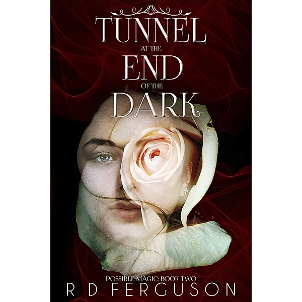 Tunnel at the End of the Dark (Possible Magic, #2) / Possible Magic, R D Ferguson