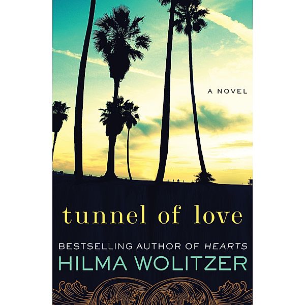 Tunnel of Love, Hilma Wolitzer