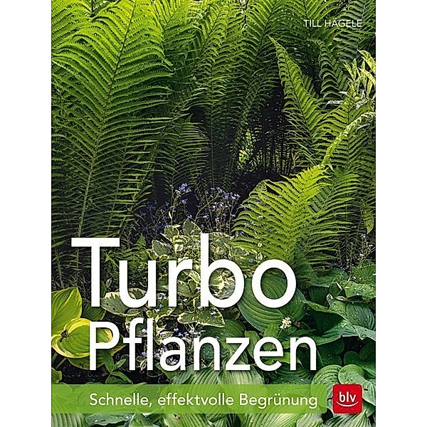 Turbo-Pflanzen, Till Hägele