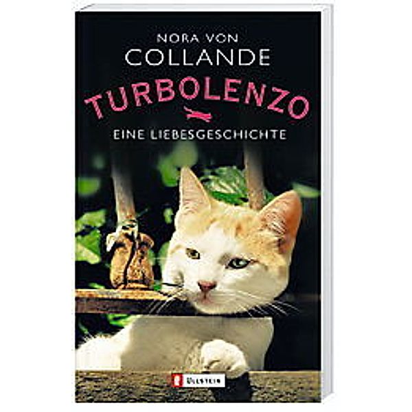 Turbolenzo, Nora von Collande