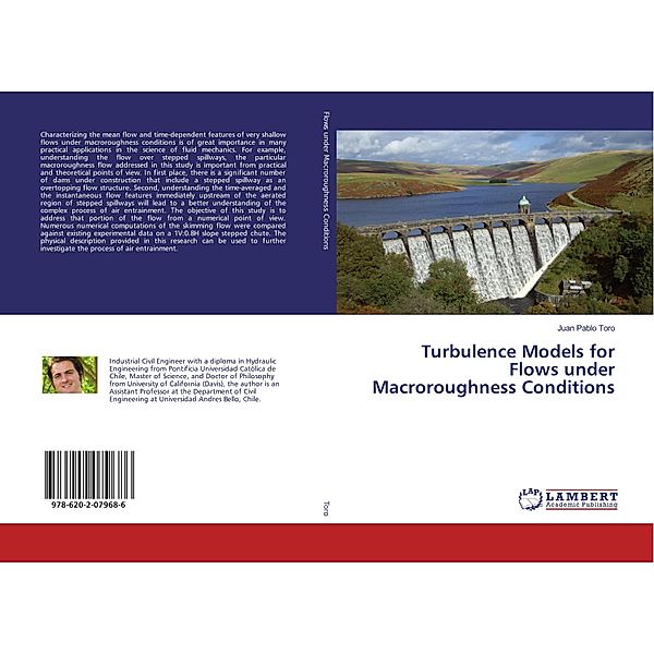 Turbulence Models for Flows under Macroroughness Conditions, Juan Pablo Toro