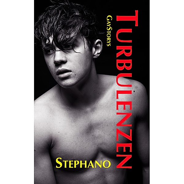 Turbulenzen / GayStorys Bd.2, Stephano