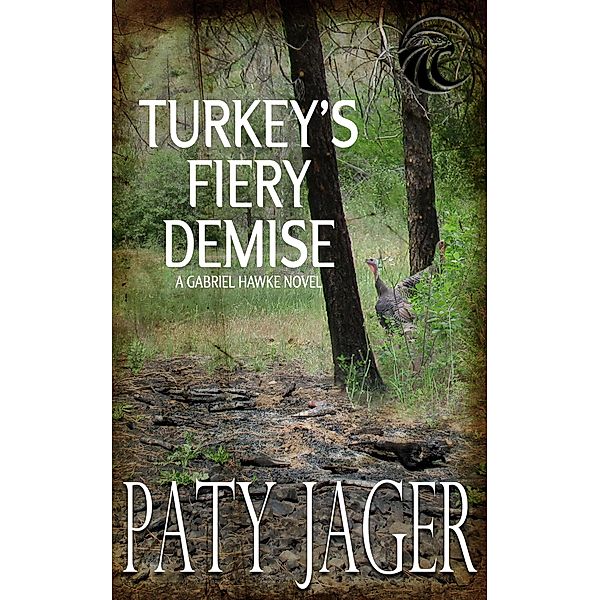 Turkey's Fiery Demise (Gabriel Hawke Novel, #6) / Gabriel Hawke Novel, Paty Jager