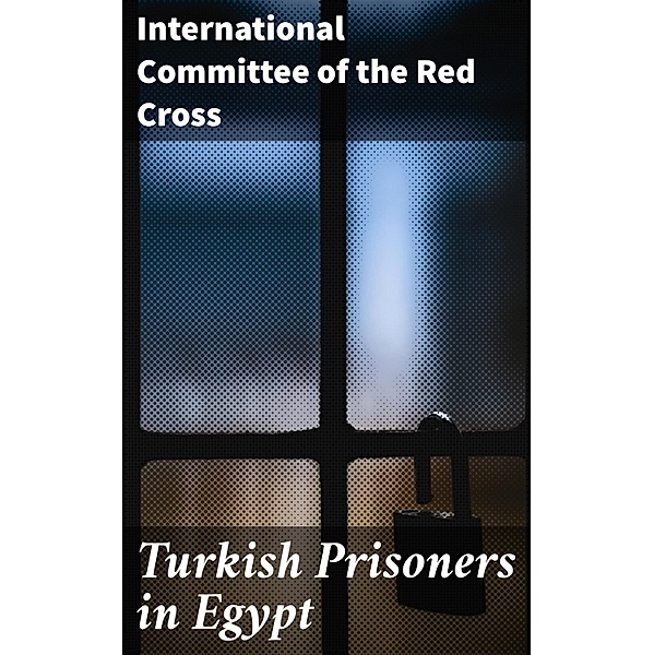 Turkish Prisoners in Egypt, International Committee of the Red Cross