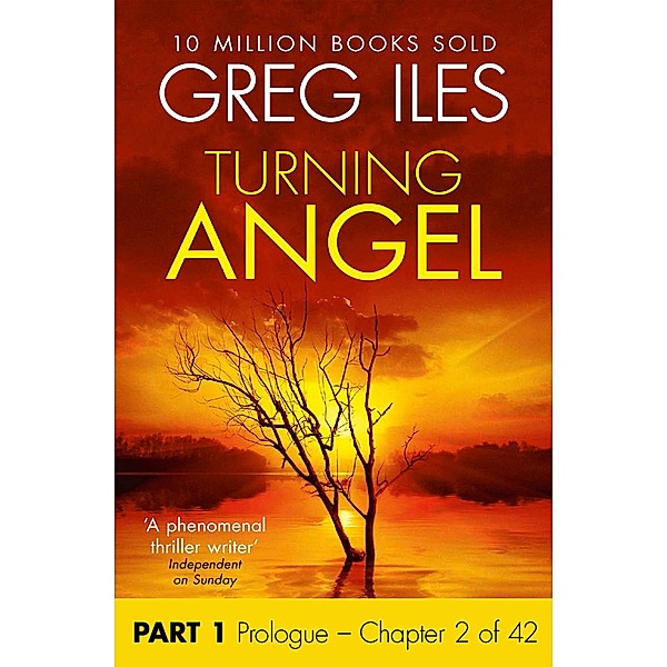 Turning Angel: Part 1, Prologue to Chapter 2 inclusive, Greg Iles