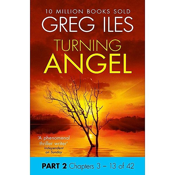 Turning Angel: Part 2, Chapters 3 to 13, Greg Iles