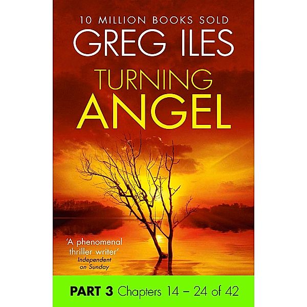Turning Angel: Part 3, Chapters 14 to 24, Greg Iles