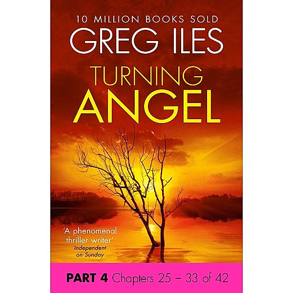 Turning Angel: Part 4, Chapters 25 to 33, Greg Iles
