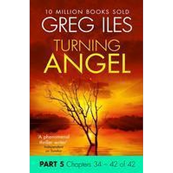 Turning Angel: Part 5, Chapters 34 to 42, Greg Iles