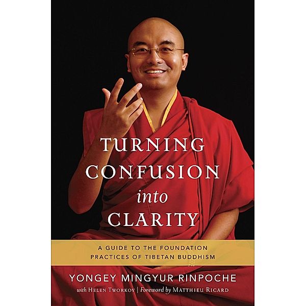 Turning Confusion into Clarity, Yongey Mingyur Rinpoche, Helen Tworkov