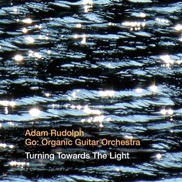 Turning Towards The Light, Adam Rudolph, Go:Organic Guita