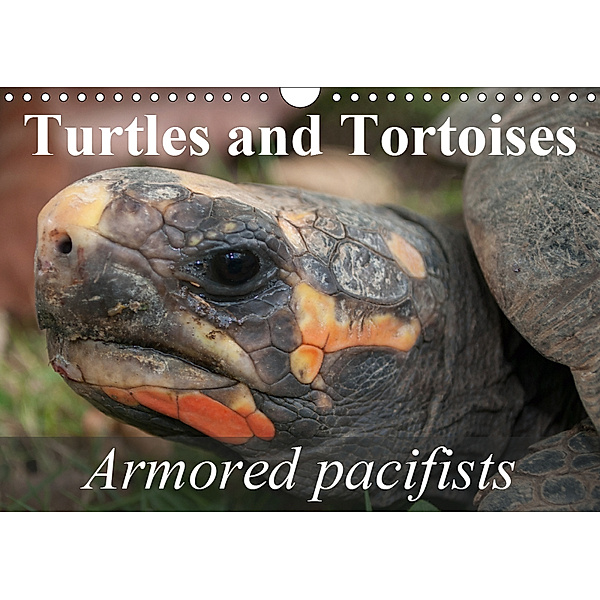 Turtles and Tortoises - Armored pacifists (Wall Calendar 2019 DIN A4 Landscape), Elisabeth Stanzer