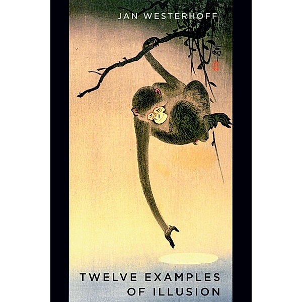 Twelve Examples of Illusion, Jan Westerhoff