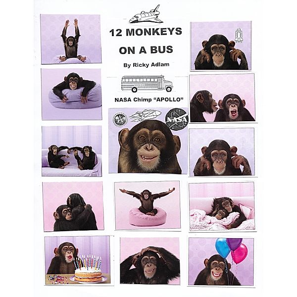 Twelve Monkeys on a Bus, Ricky Adlam