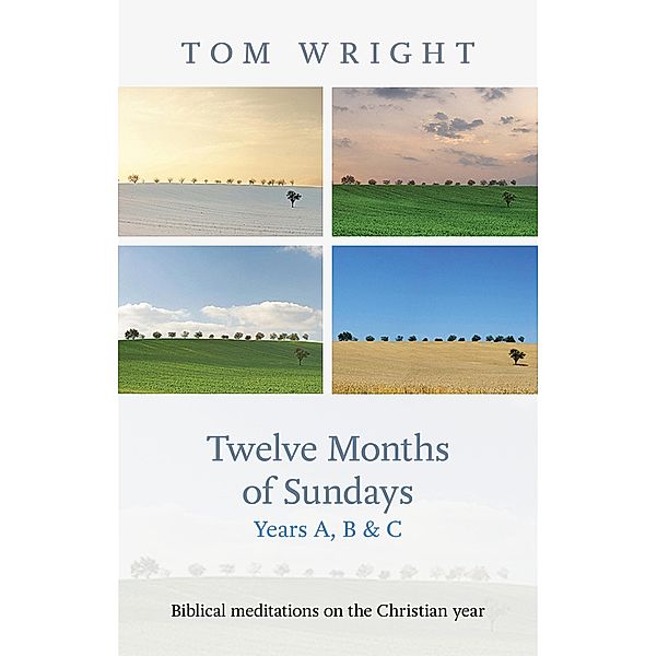 Twelve Months of Sundays Years A, B and C, Tom Wright