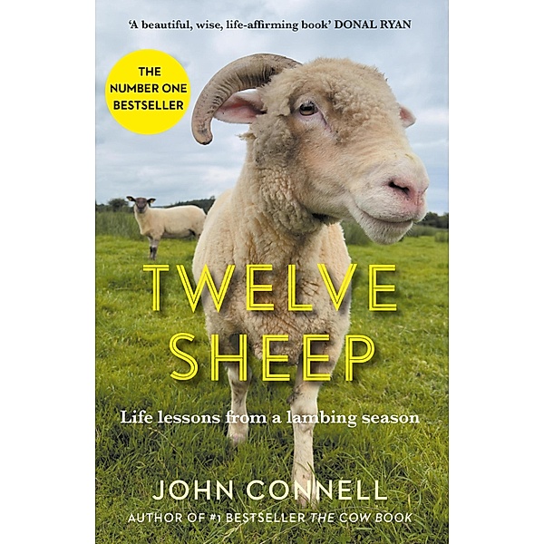 Twelve Sheep, John Connell