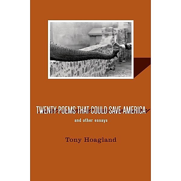 Twenty Poems That Could Save America and Other Essays, Tony Hoagland