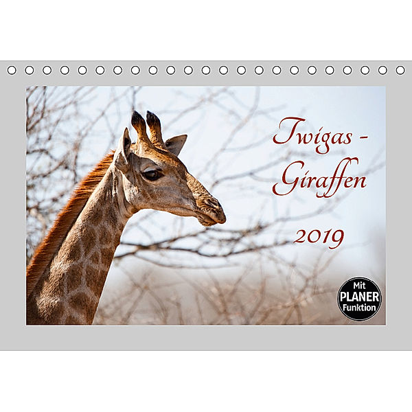 Twigas - Giraffen (Tischkalender 2019 DIN A5 quer), Kirsten Karius