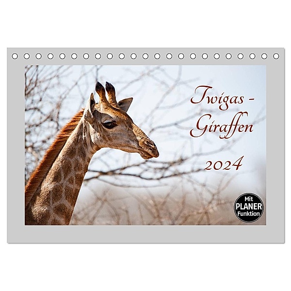 Twigas - Giraffen (Tischkalender 2024 DIN A5 quer), CALVENDO Monatskalender, ©Kirsten und Holger Karius