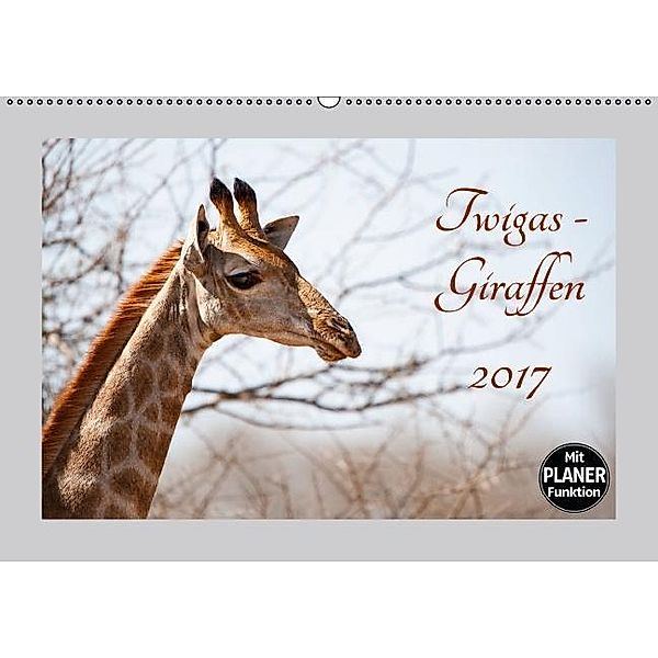 Twigas - Giraffen (Wandkalender 2017 DIN A2 quer), Kirsten Karius, Holger Karius