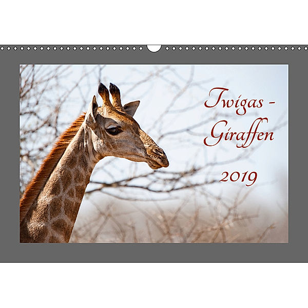 Twigas - Giraffen (Wandkalender 2019 DIN A3 quer), Kirsten Karius