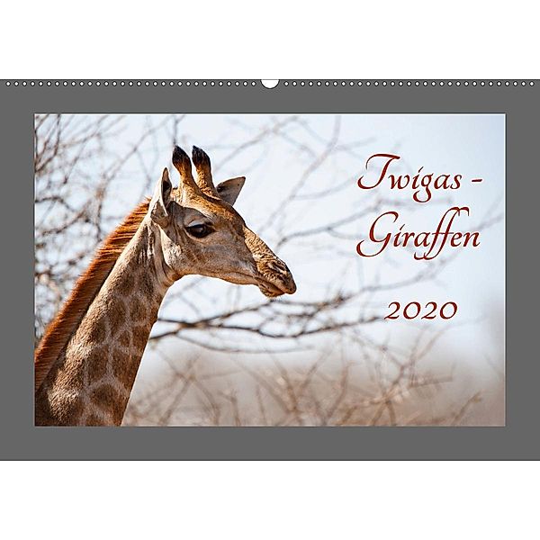 Twigas - Giraffen (Wandkalender 2020 DIN A2 quer), Kirsten Karius, Holger Karius