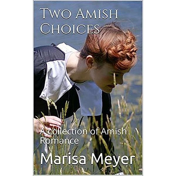 Two Amish Choices, Marisa Meyer