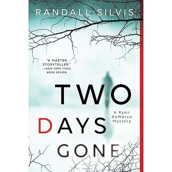 Two Days Gone / Ryan DeMarco Mystery, Randall Silvis