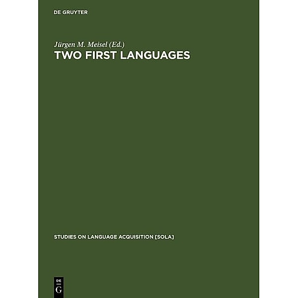Two First Languages / Studies on Language Acquisition Bd.10