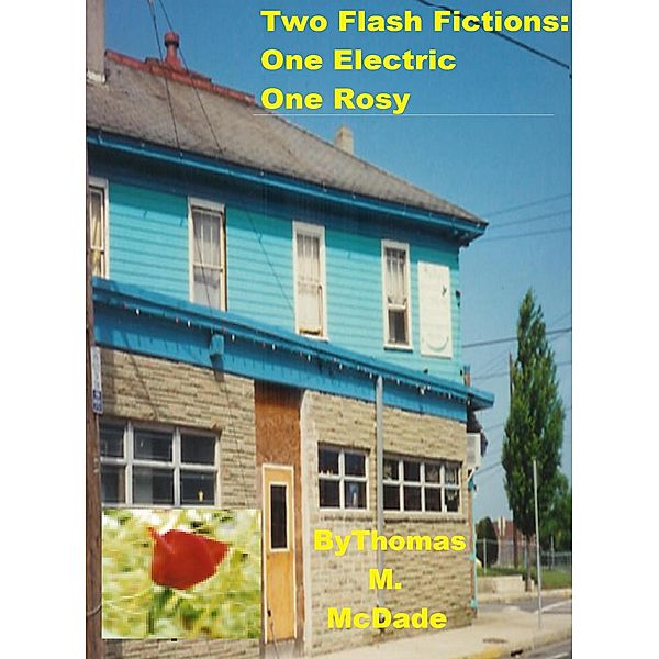 Two Flash Fictions: One Electric, One Rosy, Thomas M. McDade