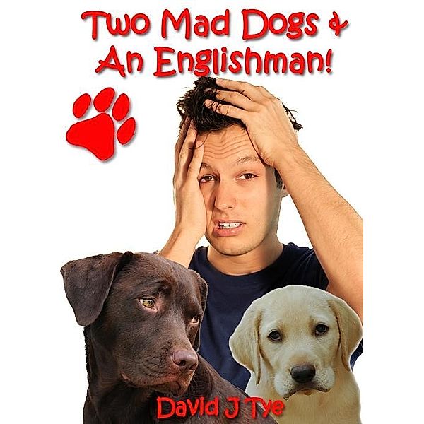 Two Mad Dogs & An Englishman! / David Tye, David Tye
