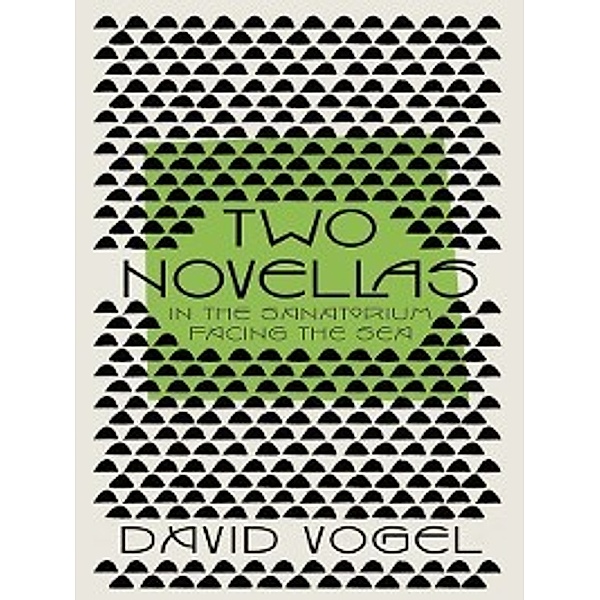 Two Novellas: In the Sanatorium and Facing the Sea, David Vogel