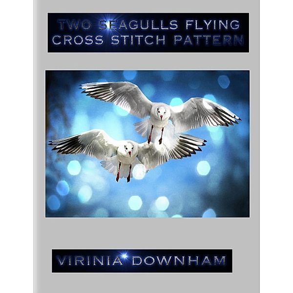 Two Seagulls Flying Cross Stitch Pattern, Virinia Downham