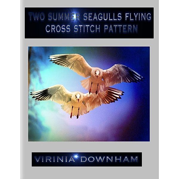 Two Summer Seagulls Flying Cross Stitch Pattern, Virinia Downham