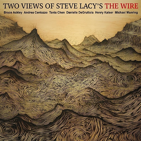 Two Views Of Steve Lacys The Wire, Bruce Ackley & Andrea Centazzo & Tania Chen & Dan