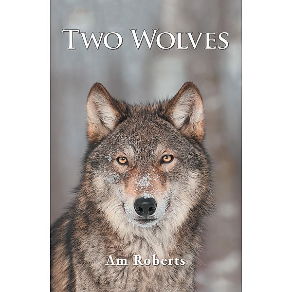 Two Wolves, Am Roberts