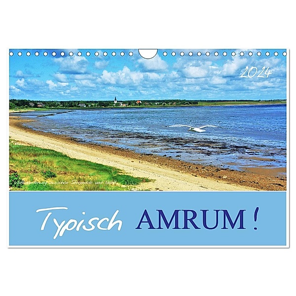 Typisch Amrum! (Wandkalender 2024 DIN A4 quer), CALVENDO Monatskalender, Jutta Heusslein