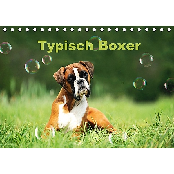 Typisch Boxer (Tischkalender 2018 DIN A5 quer), Yvonne Janetzek
